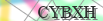 default Security Image