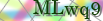 default Security Image